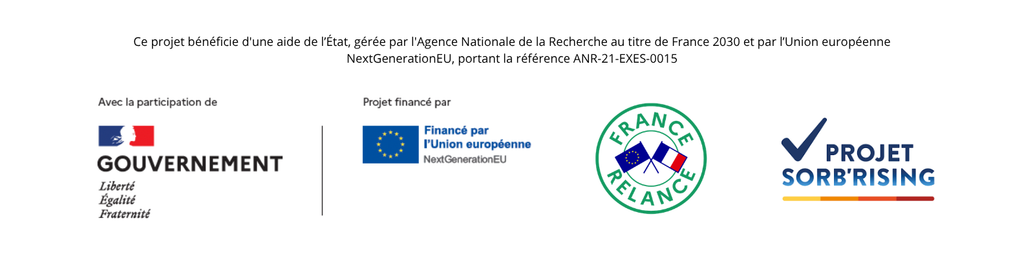 bannière sorb'rising juin 2026